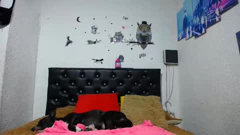 Myystiic online show from January 21, 2025, 2:22 am