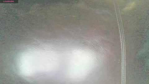 Sunny online show from January 29, 2025, 4:58 am