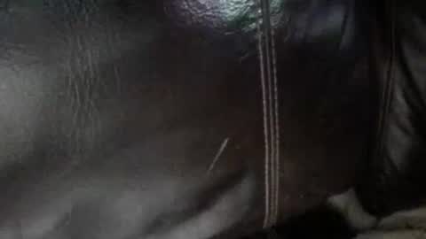 Sunny online show from January 13, 2026, 6:40 am