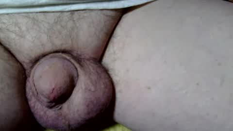 seeus24 online show from November 2, 2025, 5:26 pm