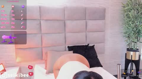 seikibee online show from February 21, 2026, 4:24 am