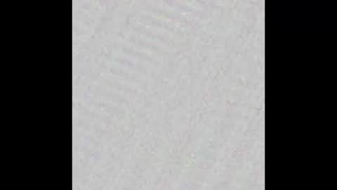 Selene online show from November 27, 2025, 11:56 am