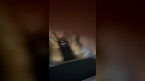 Alina online show from November 25, 2025, 10:15 am