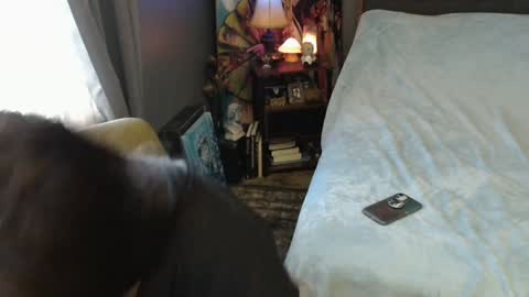 Tara online show from February 2, 2025, 4:00 pm