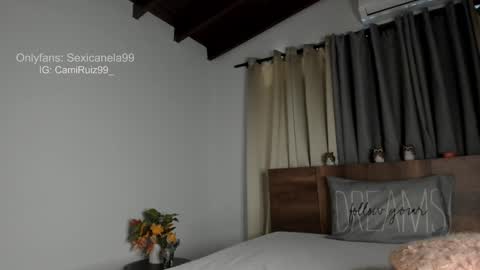 ... Camila ... online show from January 28, 2025, 4:52 pm