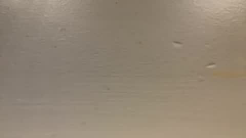 Snapshot of sexislitpuss69 chatting on January 1, 2025, 11:40 pm sexislitpuss69 online show from January 1, 2025, 11:40 pm