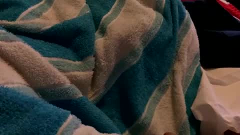 Snapshot of sexplorer54321 chatting on February 3, 2025, 1:30 am Sexplorer54321 online show from February 3, 2025, 1:30 am