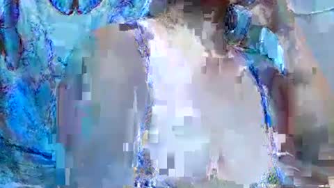 misslovely j online show from February 1, 2025, 1:41 pm