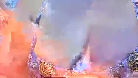 misslovely j online show from March 2, 2025, 10:45 am