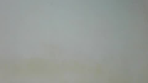 Snapshot of sexy_celeh chatting on July 2, 2026, 2:55 am sexy_celeh online show from July 2, 2026, 2:55 am