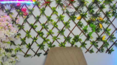 Lily online show from March 26, 2026, 3:56 am