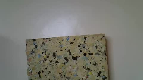 Molyne online show from April 16, 2026, 1:45 pm