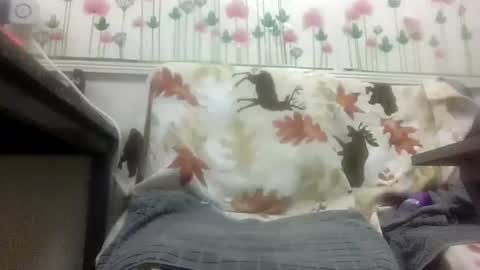 Daddy online show from February 4, 2026, 12:00 pm