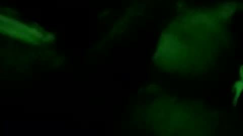 sexybleublood online show from September 21, 2025, 4:14 am