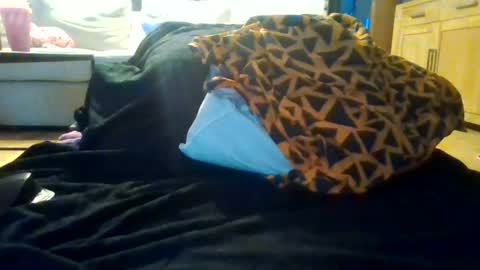 sexydenmark36 online show from July 3, 2026, 7:31 pm