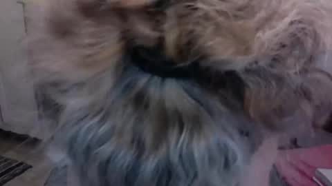 Snapshot of sexyfit58 chatting on December 15, 2024, 1:57 am SexyFit58 online show from December 15, 2024, 1:57 am