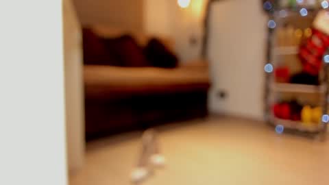 katalina larson online show from December 29, 2024, 6:03 am