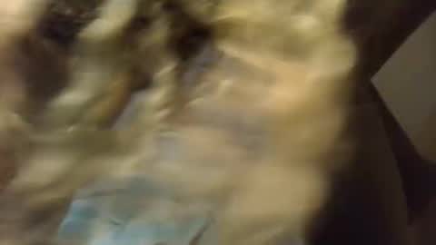 SexyKitty online show from November 21, 2025, 5:50 am