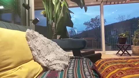 sexylover81ch online show from April 12, 2026, 6:13 pm