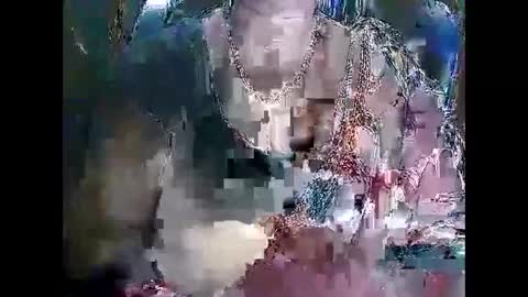 POOJA online show from December 5, 2024, 1:17 pm