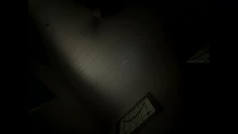 Snapshot of shaggydog774112 chatting on December 10, 2024, 5:39 am shaggydog774112 online show from December 10, 2024, 5:39 am