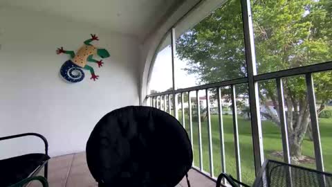 Snapshot of shannalicous chatting on January 5, 2025, 8:52 pm Shannon Spears online show from January 5, 2025, 8:52 pm