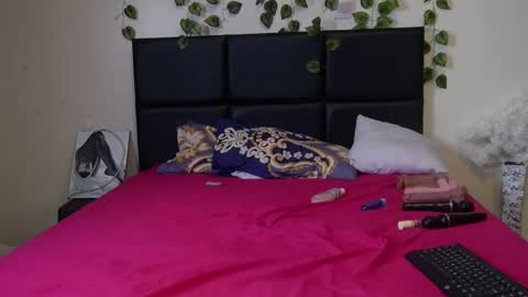 shanty_hugs online show from December 17, 2024, 12:45 am