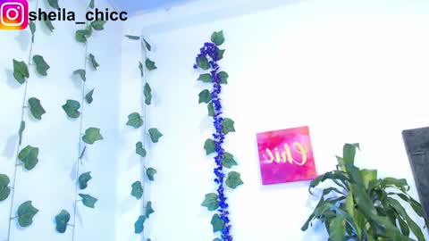 Snapshot of sheila_bigcok chatting on December 9, 2024, 10:52 pm SHEILA  online show from December 9, 2024, 10:52 pm