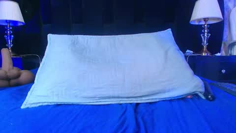 Snapshot of shelsy_loreds chatting on February 12, 2025, 2:54 pm Shelsy online show from February 12, 2025, 2:54 pm