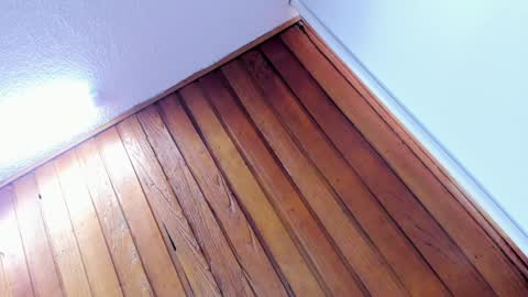 mia online show from January 8, 2025, 2:14 pm