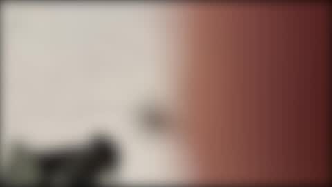 shifted1 online show from January 1, 2025, 11:18 pm