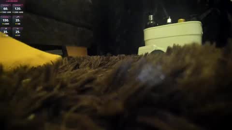 Shinigamidoll see you soon   online show from March 7, 2025, 2:15 am