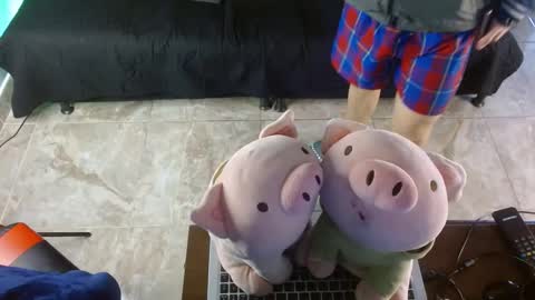 Snapshot of shinobi_grey chatting on January 24, 2025, 3:55 pm  .. shinobi .. online show from January 24, 2025, 3:55 pm