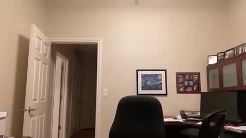 Chicago Guy online show from February 16, 2025, 4:31 am