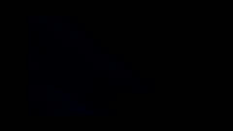 shrewtamer online show from March 11, 2025, 1:56 pm