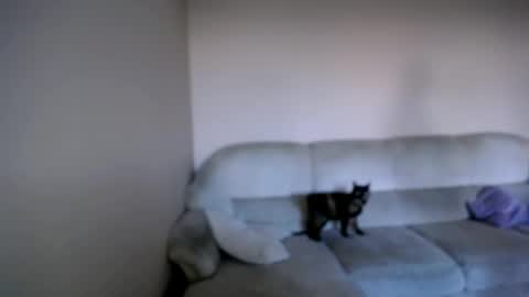 shy_sabrina_ online show from April 26, 2026, 3:53 pm