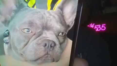 RBXs Princess online show from February 27, 2026, 2:55 am