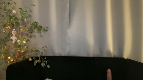 Amelia online show from December 23, 2024, 10:12 pm