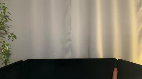 Amelia online show from January 29, 2025, 7:00 pm