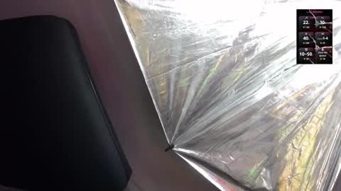 Sienna online show from February 5, 2026, 12:10 pm