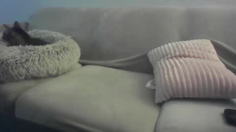 Lady Sif online show from February 16, 2026, 2:29 am