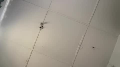 silkyandmasterr online show from March 8, 2026, 8:51 am