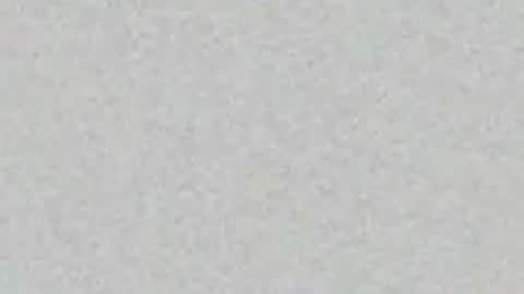 sinalco1975 online show from April 20, 2026, 2:03 am