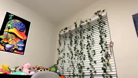 Snapshot of sincerelyyneon chatting on January 10, 2025, 1:21 am Sincerelyneon online show from January 10, 2025, 1:21 am