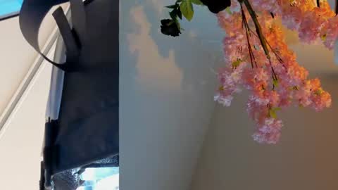 Snapshot of siouxsie_cenobite chatting on June 24, 2026, 11:09 am Siouxsie online show from June 24, 2026, 11:09 am