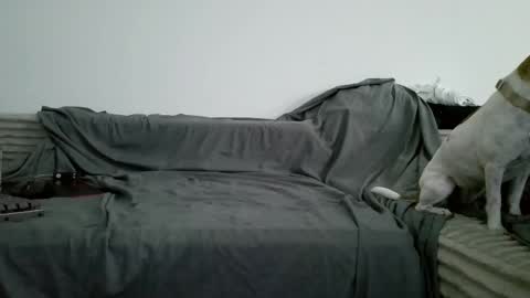 Snapshot of sircheese69x2 chatting on June 6, 2026, 8:19 am sircheese69x2 online show from June 6, 2026, 8:19 am