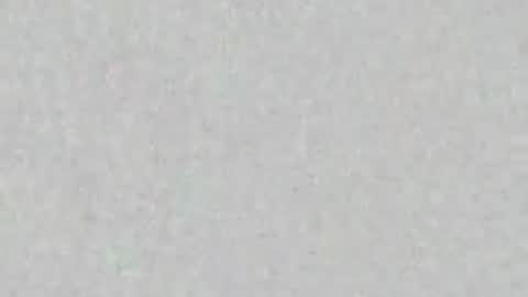 siren indira online show from April 2, 2026, 8:50 pm