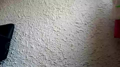 TOMY online show from January 16, 2025, 12:31 pm