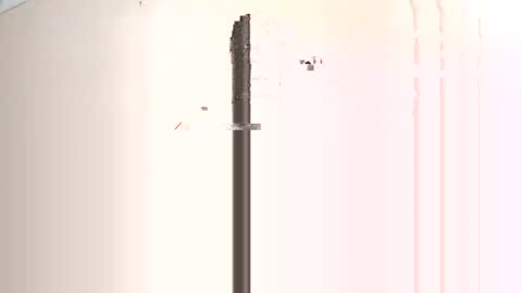 TOMY online show from February 2, 2025, 2:13 pm