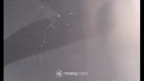 Sissyslut6111 online show from December 26, 2024, 6:54 pm